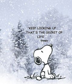Image result for inspirational quotes for winter